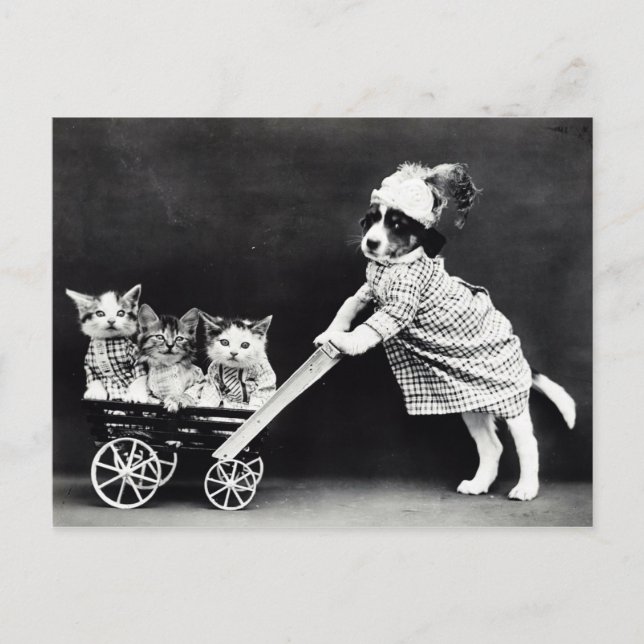 Puppy with Three Kittens in a Carriage Postcard (Front)
