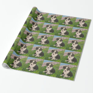 Puppy Wrapping Paper