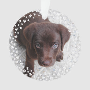 Puppy's First Christmas Holiday Ornament