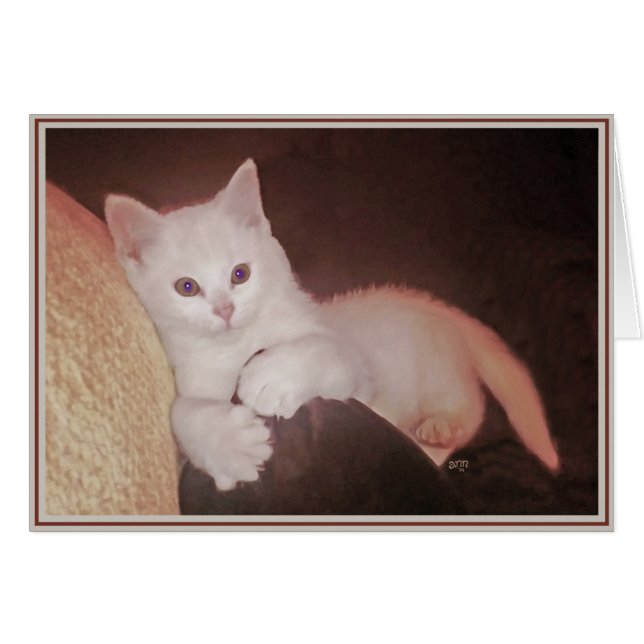 PUPs Card Kitties 14 (Front Horizontal)