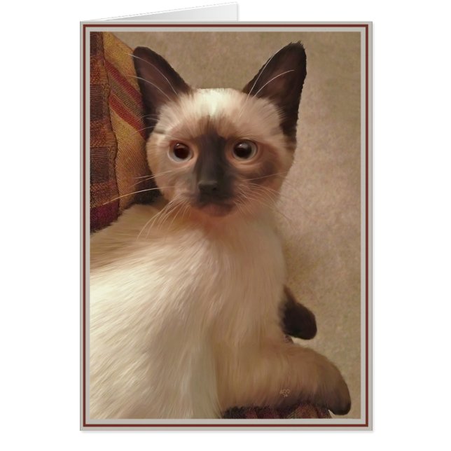 PUPs Card Kitties 15 (Front)