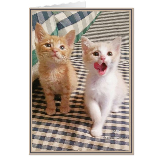 PUPs Card Kitties 5 (Front)