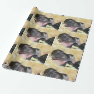 Pups wrapping  paper