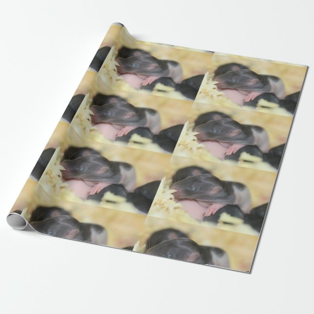 Pups wrapping  paper (Unrolled)