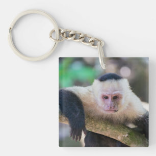 Pura vida for White-faced capuchin monkey Key Ring