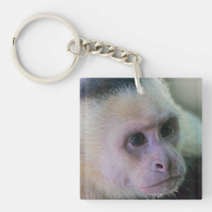Pura vida for White-faced capuchin monkey Key Ring