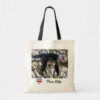 Pura vida for White-faced capuchin monkey