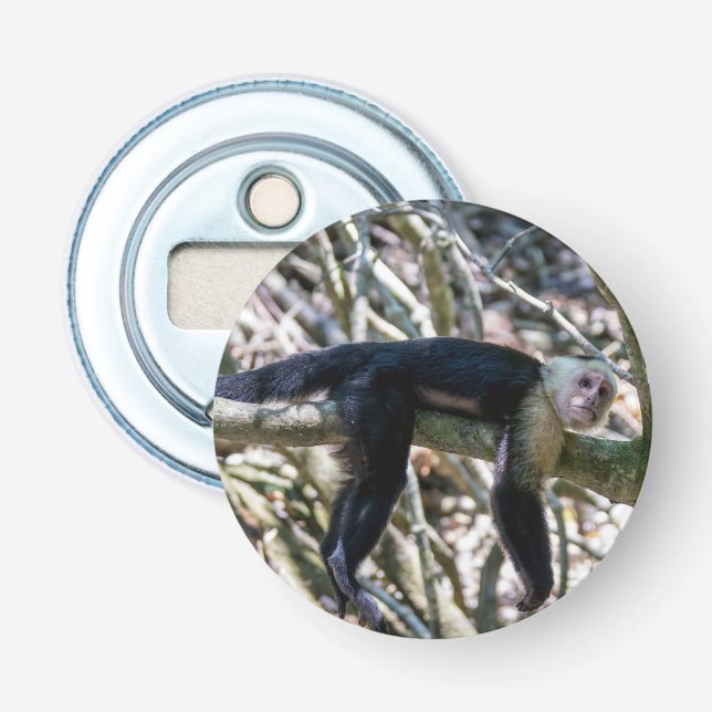 Pura vida for White headed capuchin monkey Bottle Opener (Front)