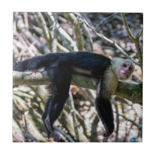 Pura vida for White headed capuchin monkey Ceramic Tile