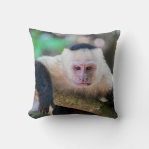Pura vida for White headed capuchin monkey Cushion