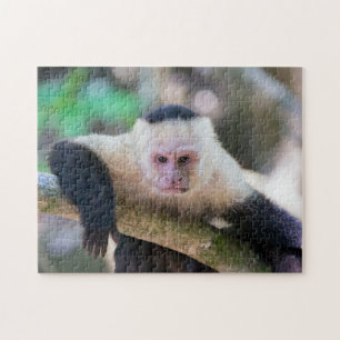 Pura vida for White headed capuchin monkey Jigsaw Puzzle