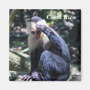 Pura vida for White headed capuchin monkey Magnet