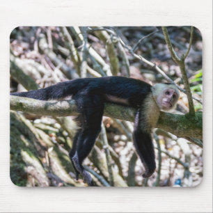 Pura vida for White headed capuchin monkey Mouse Pad