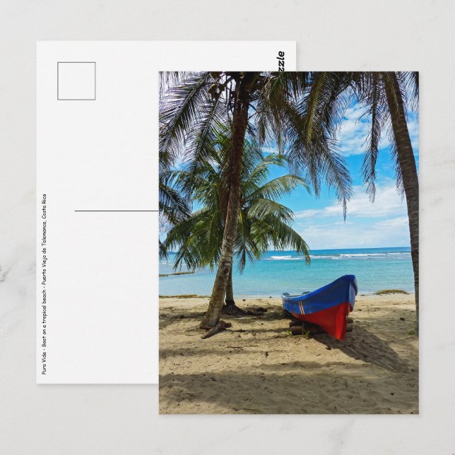 Pura Vida in Costa Rica - Central America Postcard (Front/Back)