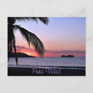 Pura Vida! Postcard