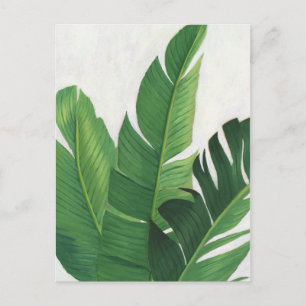 Pura Vida - Tropical Leaves Postcard