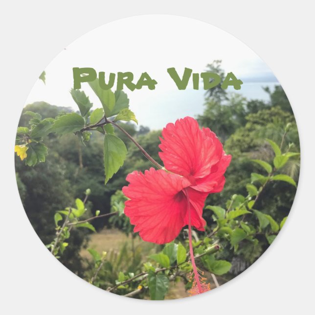 Pura Vida with Hibiscus Sticker (Front)