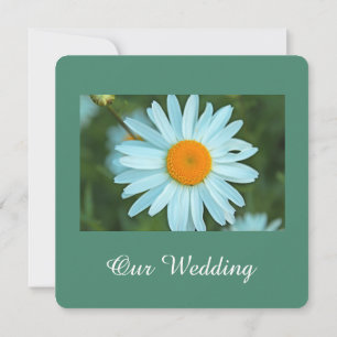 Pure, beautiful white daisy flower teal wedding invitation