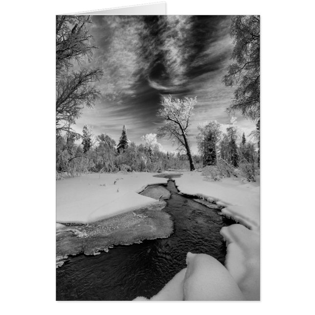 Pure Campbell Creek (Front)