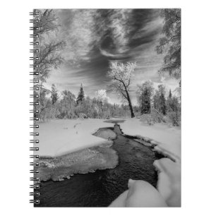 Pure Campbell Creek Notebook