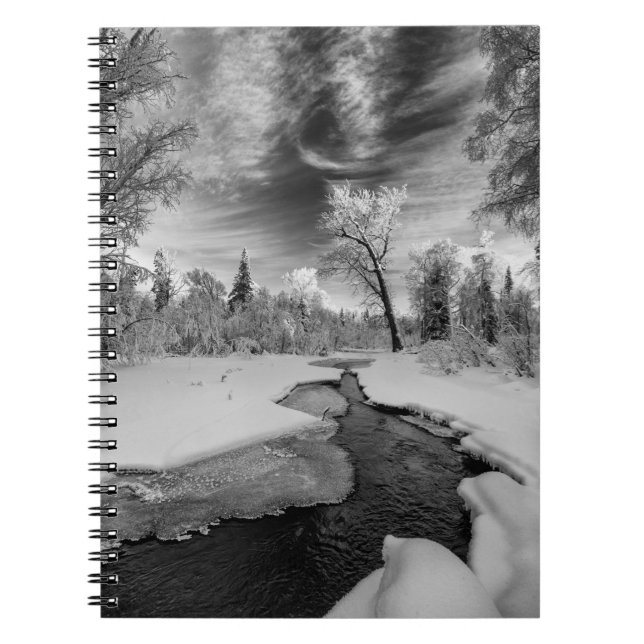 Pure Campbell Creek Notebook (Front)