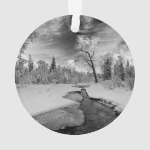 Pure Campbell Creek Ornament