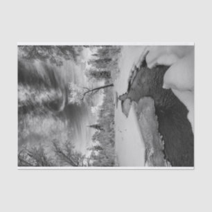 Pure Campbell Creek Tissue Paper