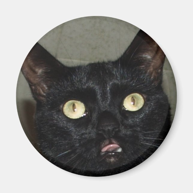 Pure Cattitude Magnet (Front)