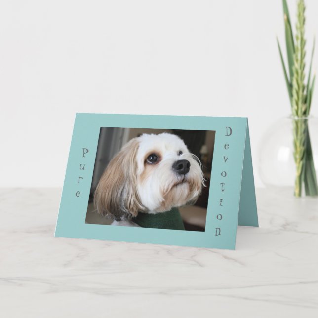 Pure Devotion card (Front)