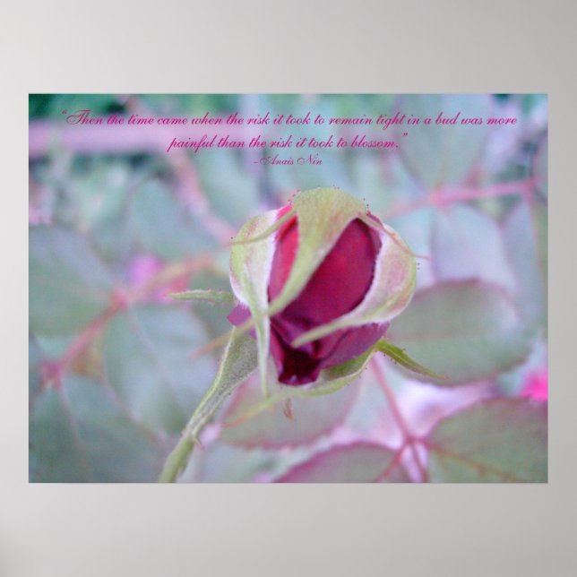 Pure Elegance Poster (Front)