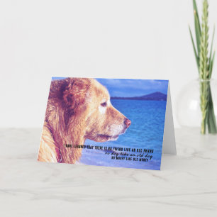 PURE JOY Greeting Card