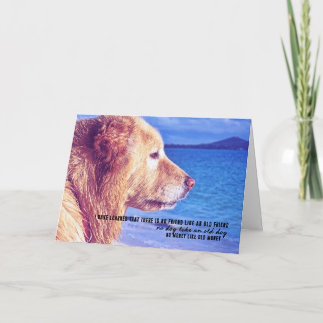 PURE JOY Greeting Card (Front)