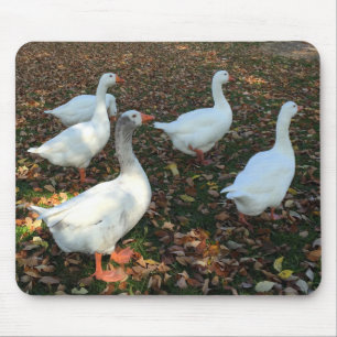 Pure Nature Mouse Pad