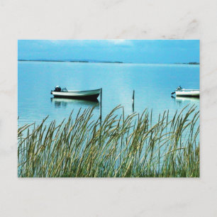 Pure Nature on Samsø island Photo Colette Postcard