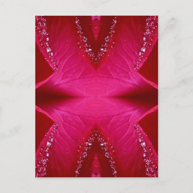 Pure Rose Petal Art - Blood Red n PinkRose Postcard (Front)