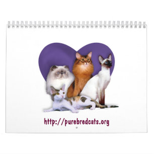 Purebred Cat Breed Rescue Calendar