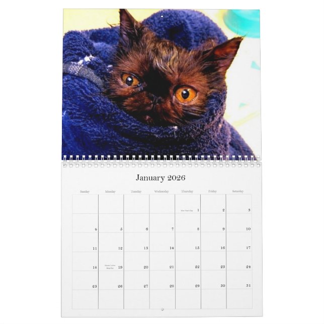 Purebred Cat Breed Rescue Calendar (Jan 2026)