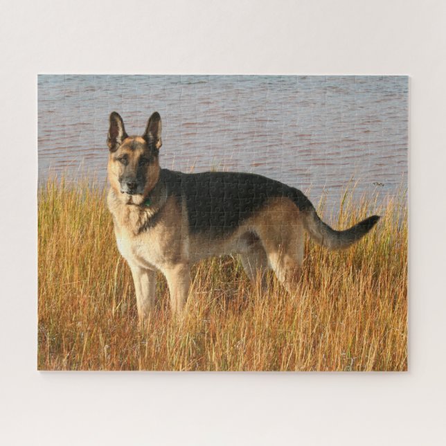 Purebred German Shepherd II Jigsaw Puzzle (Horizontal)