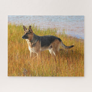 Purebred German Shepherd Jigsaw Puzzle