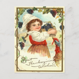 Puritan Girl Picking Grapes Postcard