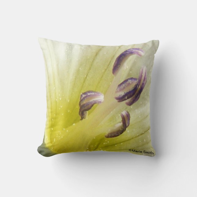 Purity Cushion (Front)