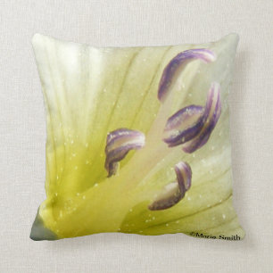 Purity Cushion