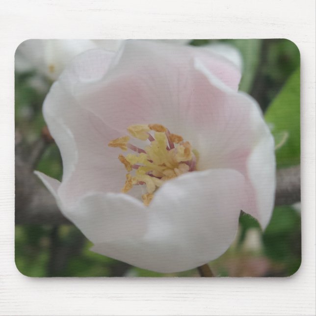 Purity Mousepad (Front)