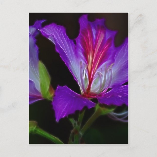 Purity Postcard (Front)