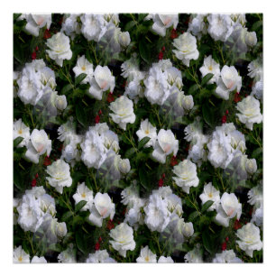 Purity... Poster