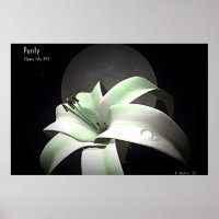 Purity (Space Lily #9)