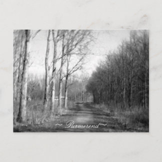 Purmerend Netherlands Postcard