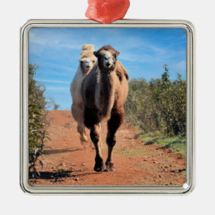 Purnimama & Delany Metal Ornament