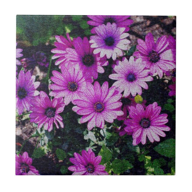 Purple African Daisies Floral Art Ceramic Tile (Front)