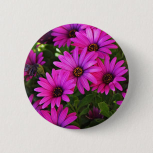 Purple African Daisy 6 Cm Round Badge